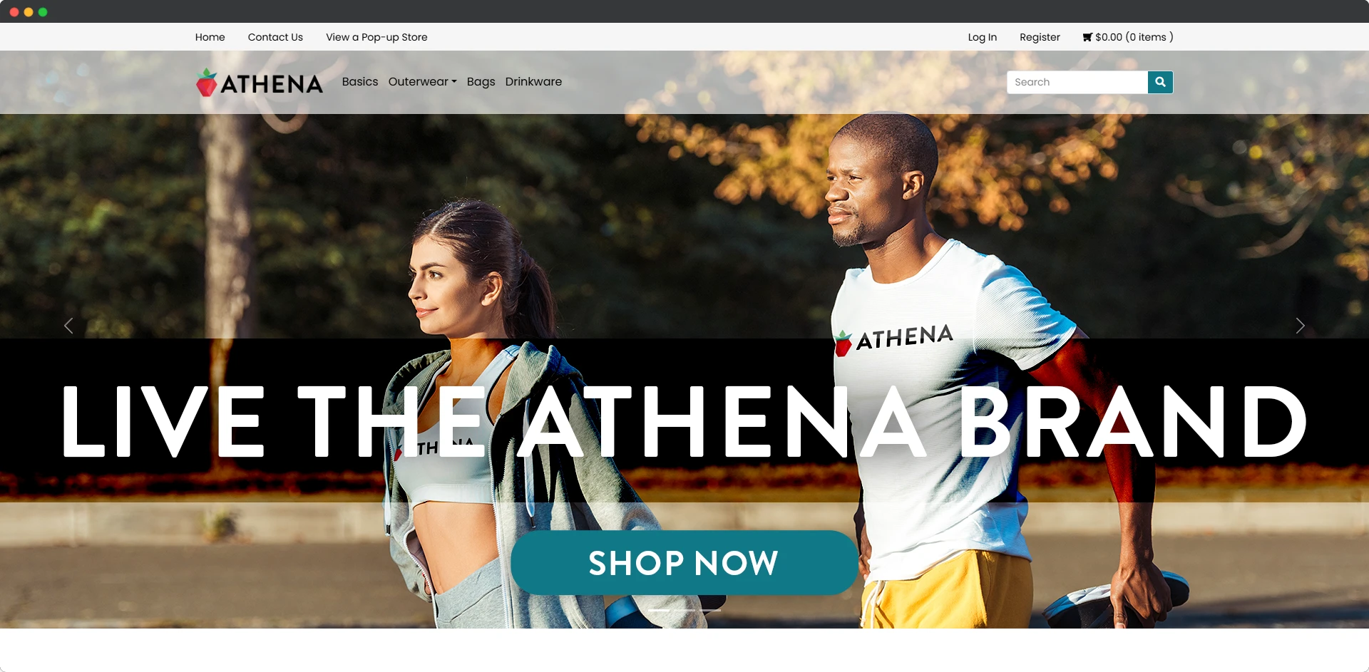 Company Swag Store Website